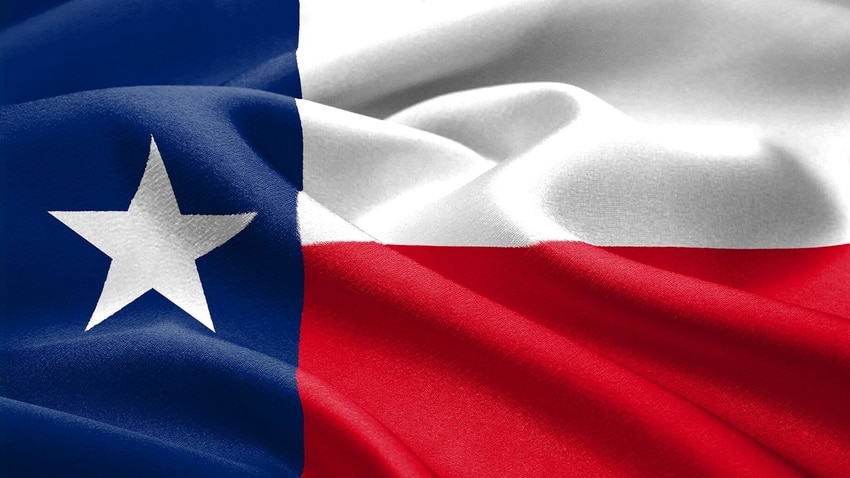 Texas State Flag